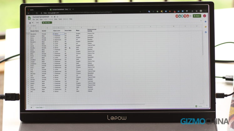 Lepow 휴대용 모니터 검토 40 